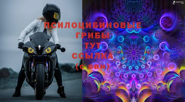 кокс Баксан