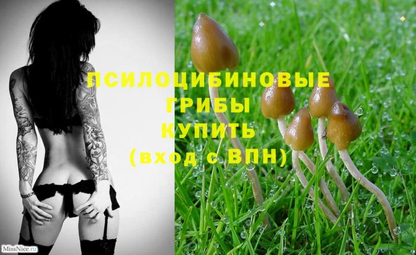 кокс Баксан