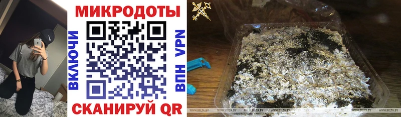 Псилоцибиновые грибы Magic Shrooms  магазин продажи наркотиков  блэк спрут вход  Астрахань 